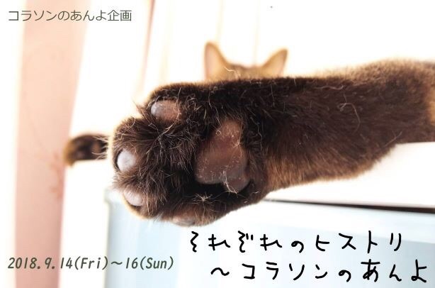舞台出演 コラソンのあんよ企画「それぞれのヒストリ 」短編3部作